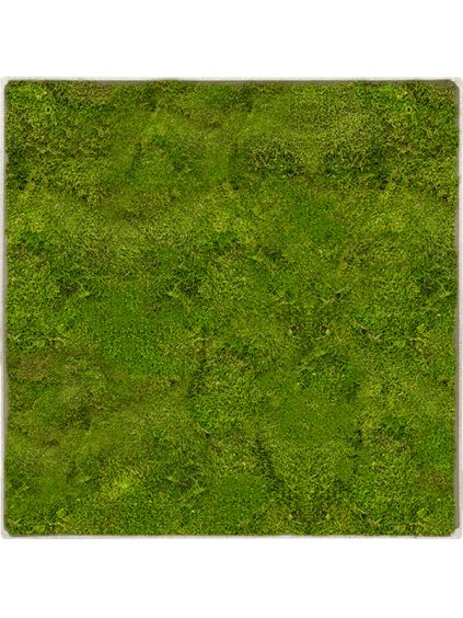 Moss Painting V5cm D30cm
