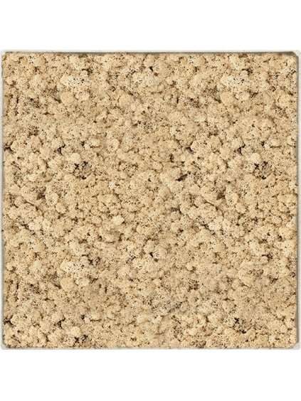 Moss Painting V5cm D30cm