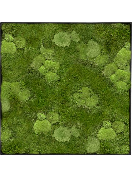 Moss Painting V5cm D90cm