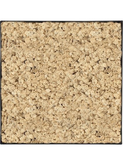 Moss Painting V5cm D90cm