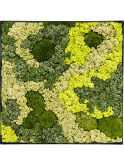 Moss Painting V5cm D90cm