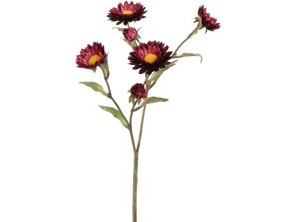 Umelý kvet Straw Flower V65cm