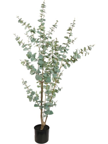 Umelý kvet Eucalyptus Globulus R70cm V150cm