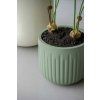 kvetinac ARCUS S zelena 4