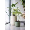 kvetinac ARCUS S zelena 2