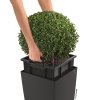 Samozavlažovací Kvetináč Lechuza Cubico Color 40 granitová/čiernosivá matná HydroFlora