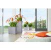 Lechuza Canto Stone Low all-in-one set sivá