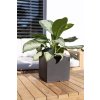 Kvetináč DIVISION PLUS Plant Cube, 23x23/23 cm, antracitová