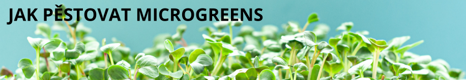 Microgreens