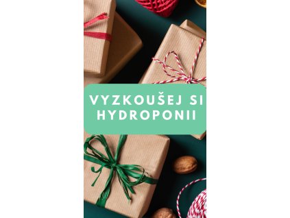 Běž si za Svými Sny iPhone Rozložení (Mobilní video)