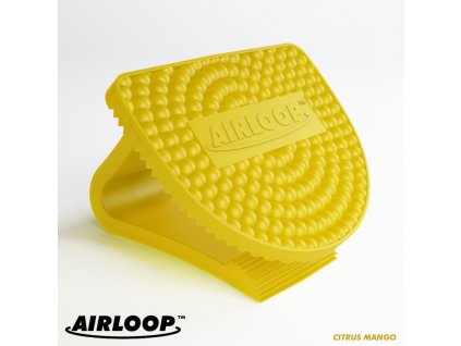 Airloop osviežovač vzduchu Citrus Mango