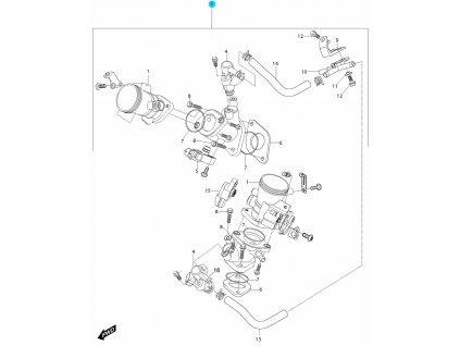 FIG10 GV250i D (FI Delphi)