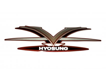 [22-1] Samolepa (FIG31) - Hyosung GV 250