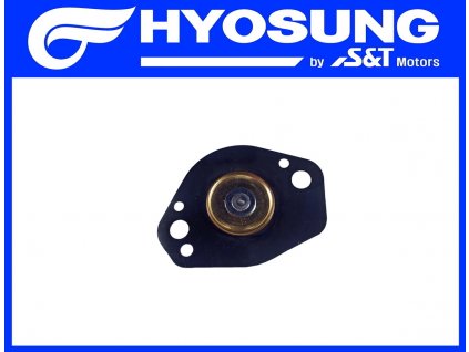 [36] Membrána (FIG10) - Hyosung GT 650 N