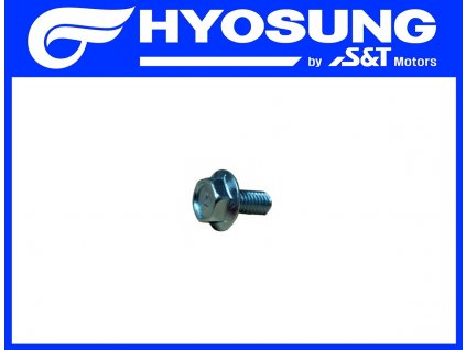 [8] Šroub (hlava zadního válce) - Hyosung GV 250