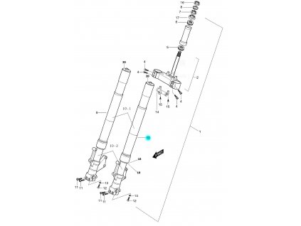[10] Vidlice přední levá kompletní (FIG40) - Hyosung GT 650 S & R