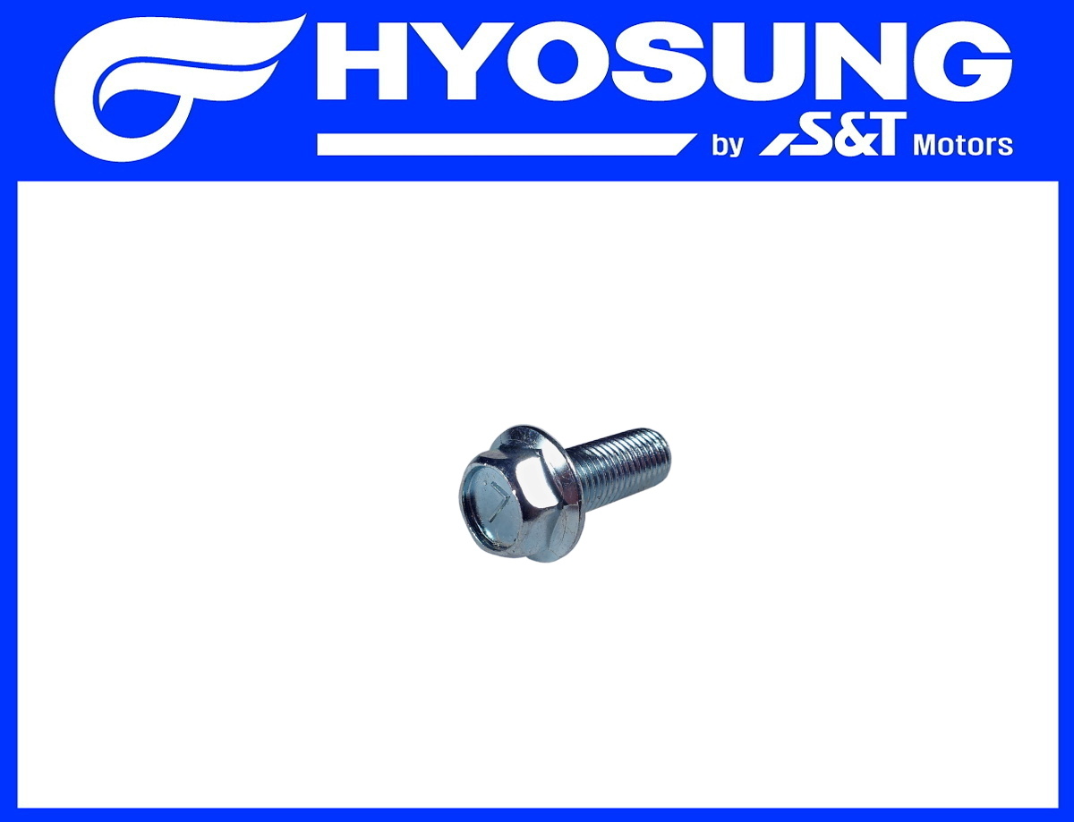 [6] Šroub (brzdový pedál & stupačka) - Hyosung GV 250