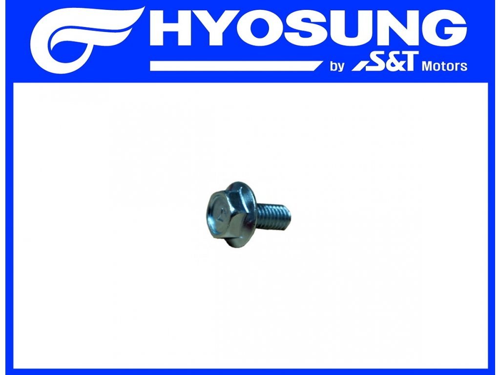 [8] Šroub (hlava zadního válce) - Hyosung GV 250i C
