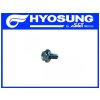 [8] Šroub (hlava zadního válce) - Hyosung GT 250i RC