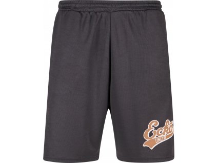 Pánske kraťase Ecko Unltd. Shorts BBALL