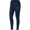 Dámske športové nohavice Nike Dri-FIT Academy granatowe CV2665 451