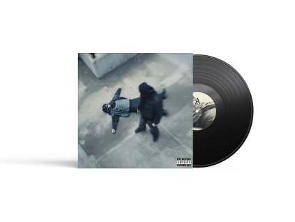 Vinyl Mockup 04