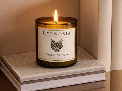 ChatGPT Image 31. 1. 2026 16 20 28