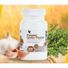 Forever garlic thyme cesnek 1