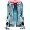 Deuter Walker 24 l (Barva graphite-black)