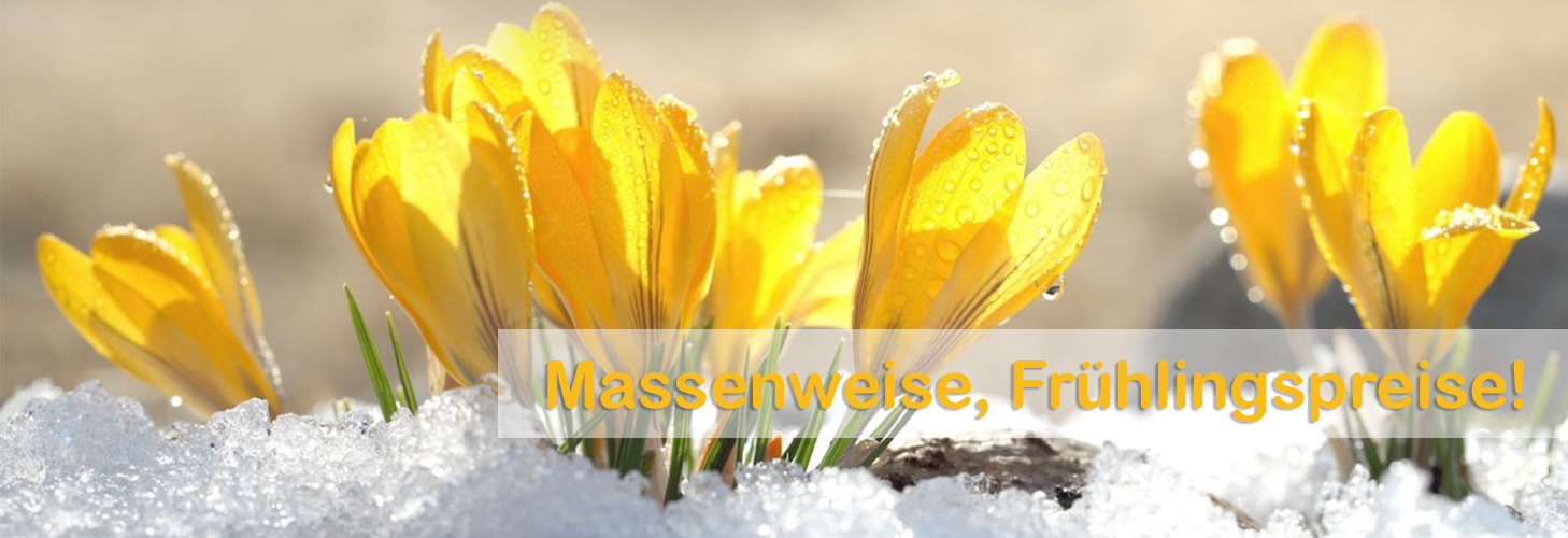 Frühling