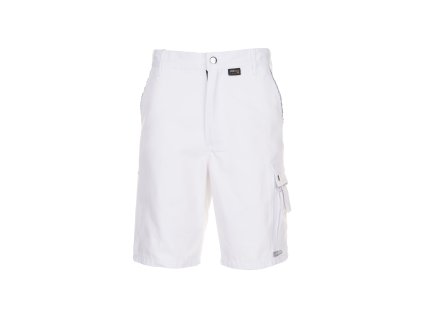 Shorts Canvas Vorderansicht / canvas work shorts front view