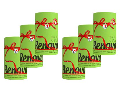 Küchenpapierrolle grün auf Tisch Küchenumgebung Einsatz / Green kitchen paper roll table kitchen use