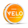 tropical mango
