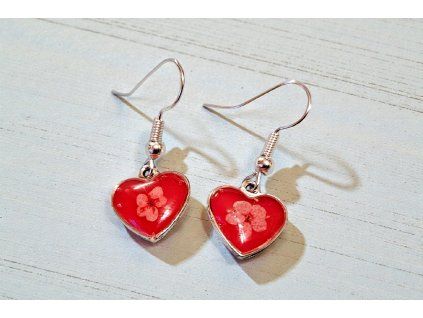 Červená srdíčka s kopretinou