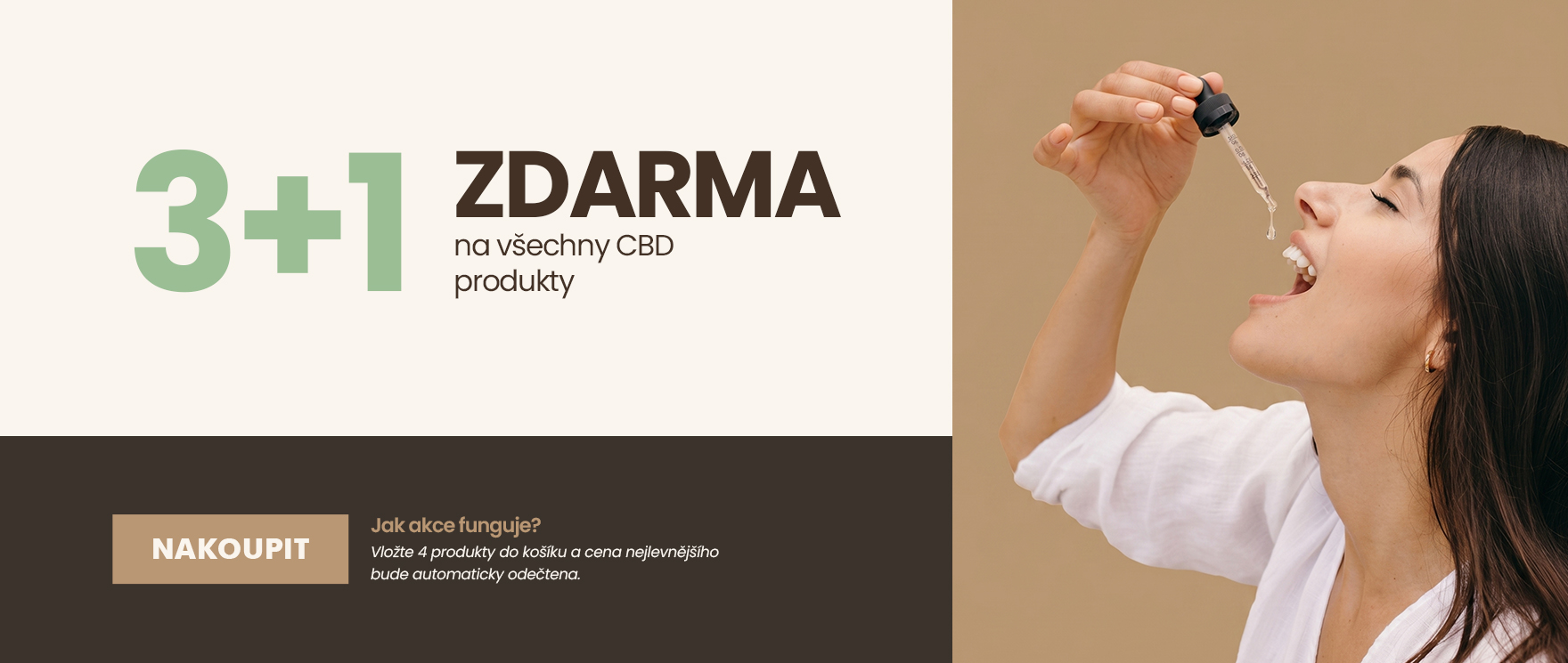 3+1 zdarma
