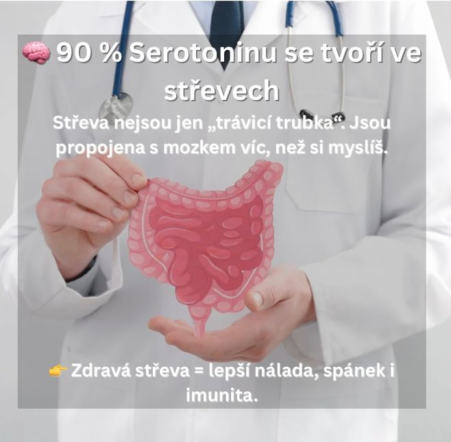 Většina serotoninu – hormonu štěstí – nevzniká v mozku, ale ve střevech! 🧠🦠 To je důvod, proč je péče o trávení zásadní...