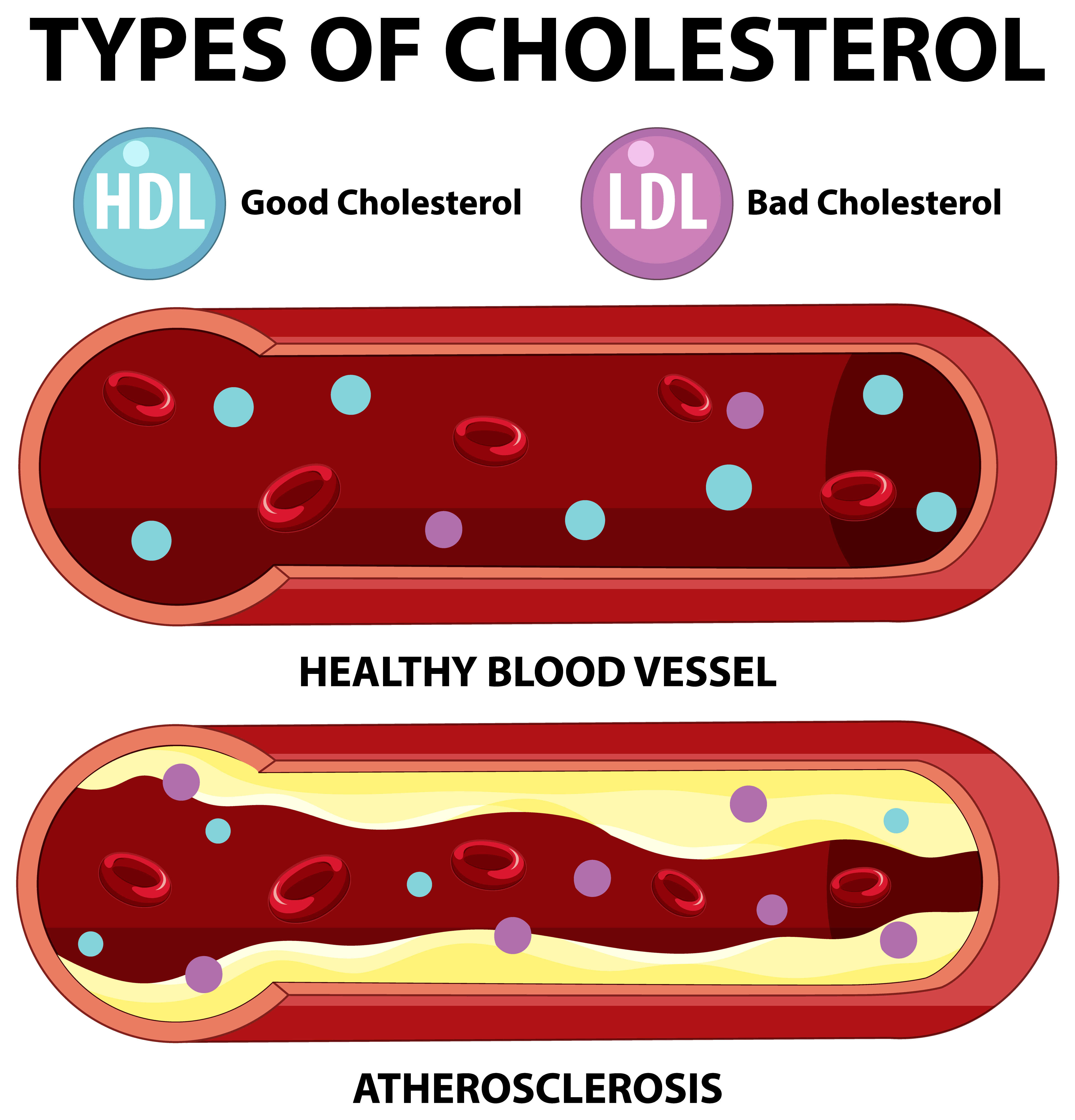 b63d03d4-f3ed-4210-9edd-3191fcda8733_optimized