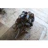 ND 20260303 050 3