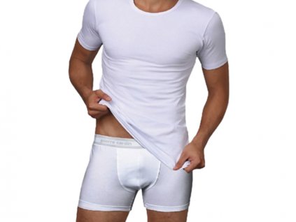 lmunderwear pierre cardin u254