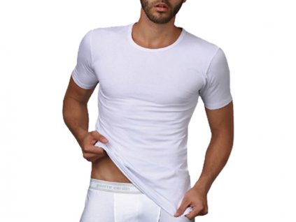 lmunderwear pierre cardin u250