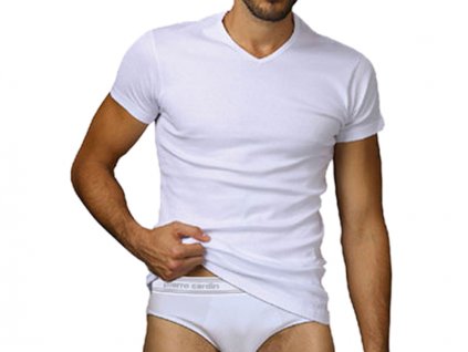 lmunderwear pierre cardin u251