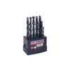 Súprava HSS vrtákov WESTBERG 1-10mm (po 0.5mm) 19ks plast