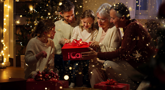 Provozní doba a expedice objednávek během Vánoc 2025