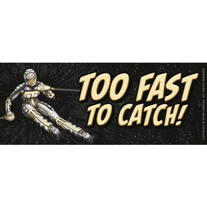 Ester Ledecka's Bumper sticker  "Too fast to catch!"