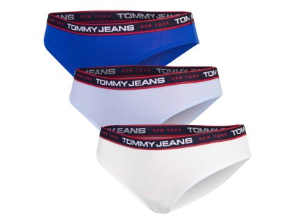 Tommy Hilfiger dámske bikini 3ks-UW0UW04710 0SQ (Veľkosť L)