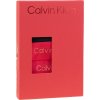Calvin Klein sada -podprsenka a tangáč (Veľkosť L)