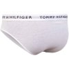 Tommy Hilfiger pánske slipy 3ks (Veľkosť XXL)
