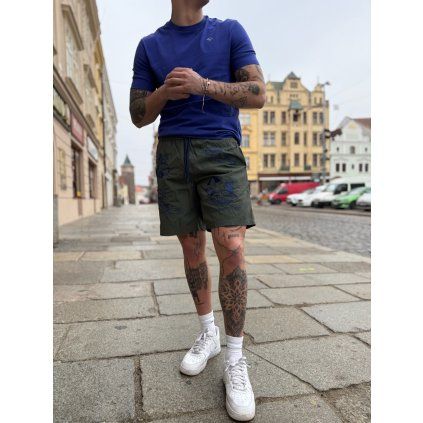 Pánské plavky Blauer zelené