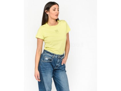 pinko bussolotto jersey t shirt with chicory endive logo