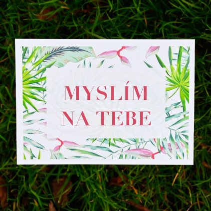 Myslím na tebe